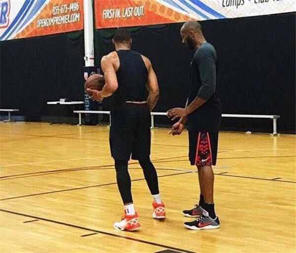 亚冠精英联 亚冠精英联